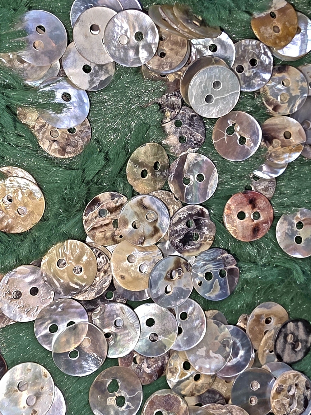 Abalone Buttons 1cm 300 Buttons